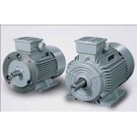 MOTOR SIEMENS 1LG0