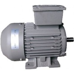 MOTOR SIEMENS 1LE0