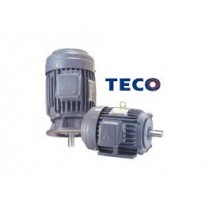 MOTOR TECO  B3-B5