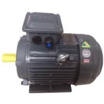 MOTOR TECO B3 0.18KW-132KW