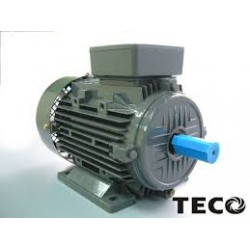 MOTOR TECO